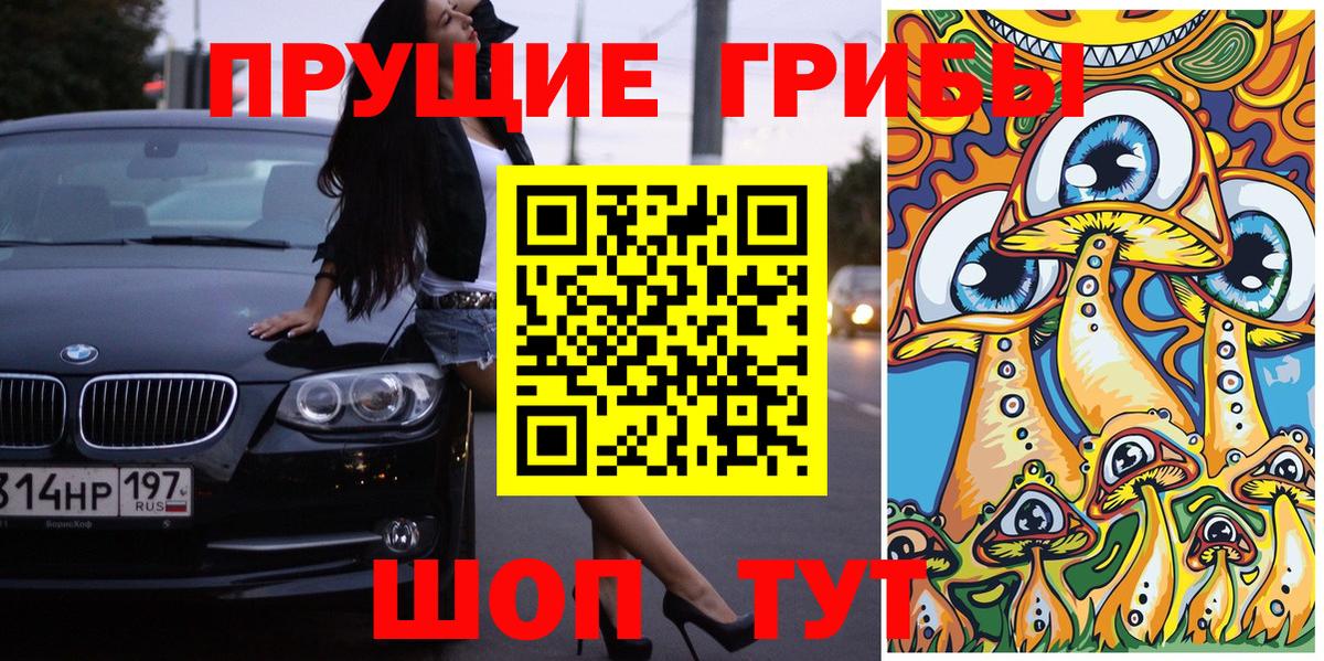 Качканар  где продают   Вход с VPN  Галлюциногенные грибы MAGIC MUSHROOMS  Галлюциногенные грибы прущие грибы 