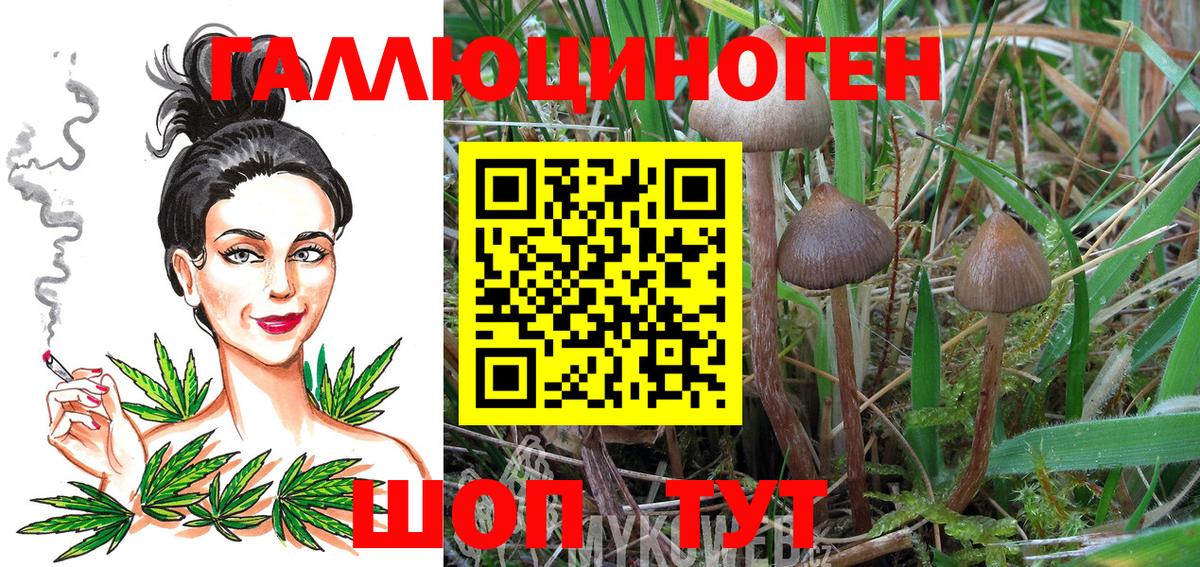 Псилоцибиновые грибы ЛСД Качканар